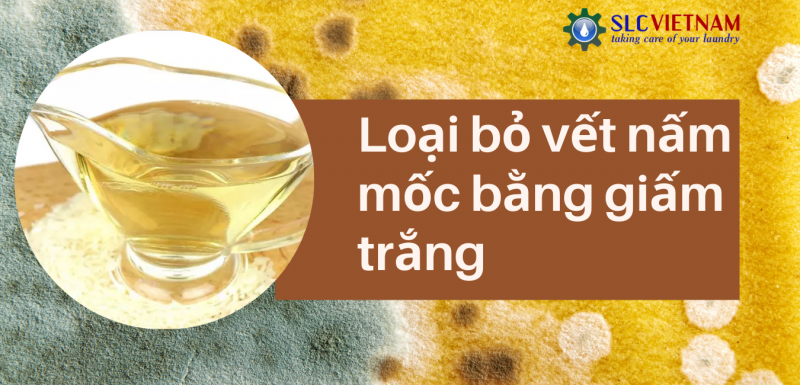 Loại bỏ vết nấm mốc bằng giấm trắng